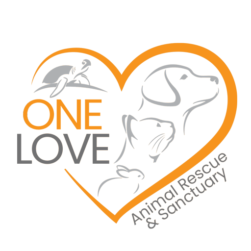 Animals for Adoption - One Love Animal Rescue & Sanctuary