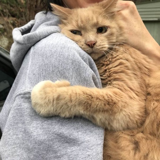 hugging animal
