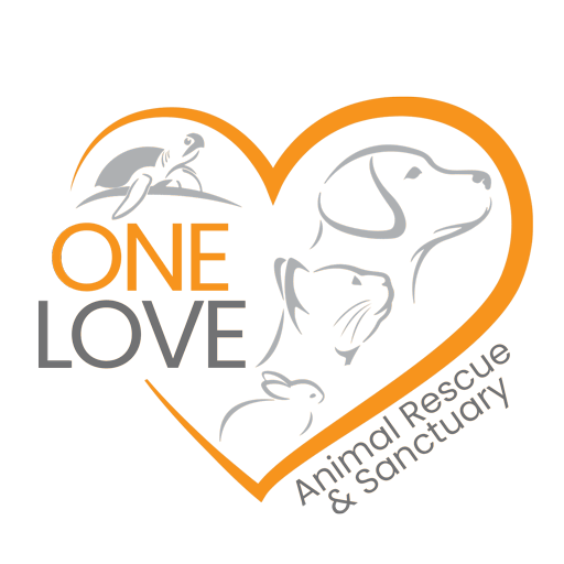 One-Love-Logo-Square_512-no-back