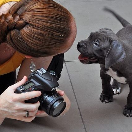 taking pictures