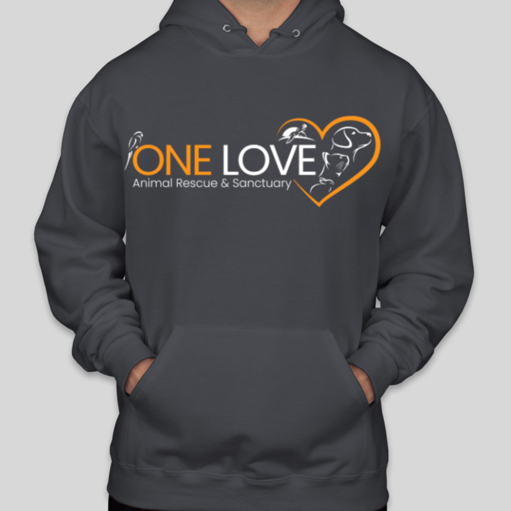 Unisex Hoodie – One Love Apparel